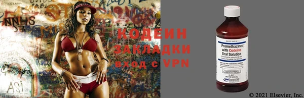 шишки Богданович
