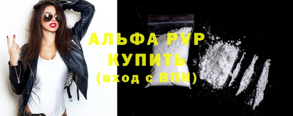 шишки Богданович