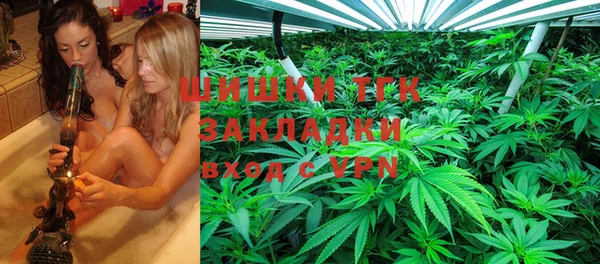 твердый Богородск