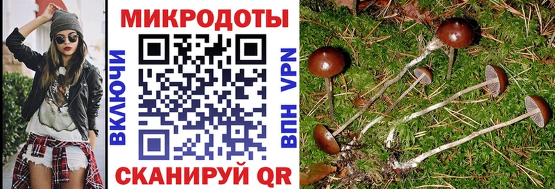 darknet клад  kraken зеркало  Елизово  Галлюциногенные грибы GOLDEN TEACHER 